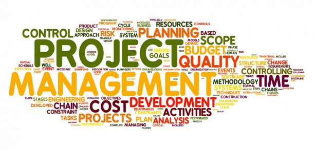 projectmanagement wordcloud